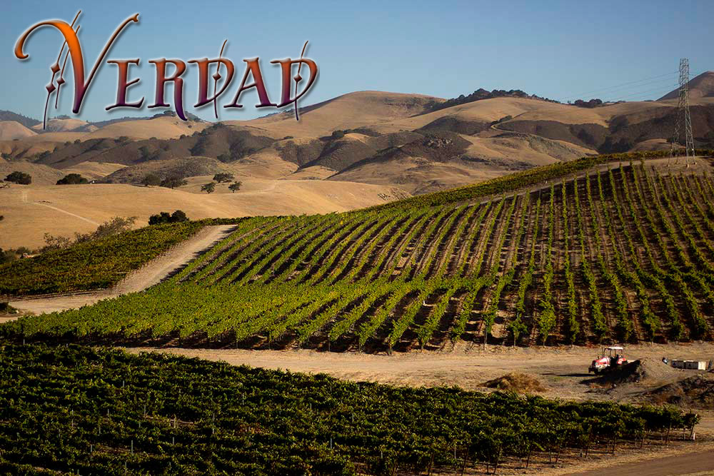 verdad-vineyard